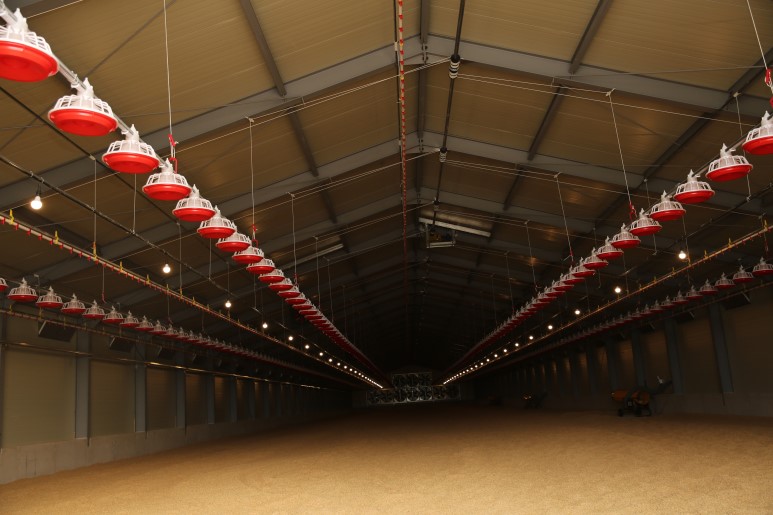 (��)�뱤�ǳ� ������ �ǳ� �ð� - ���� ����� �������