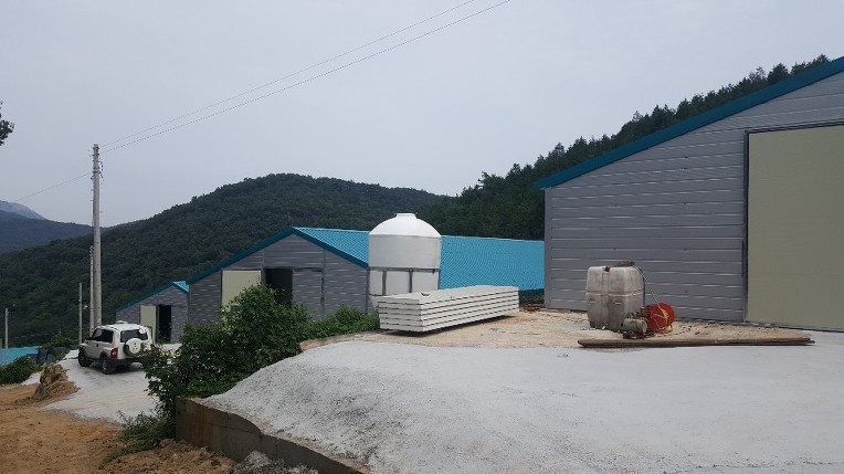 ()뱤ǳ غҿ EPS ǳ DK ٷ ǳ ð <̺, , , , > -   